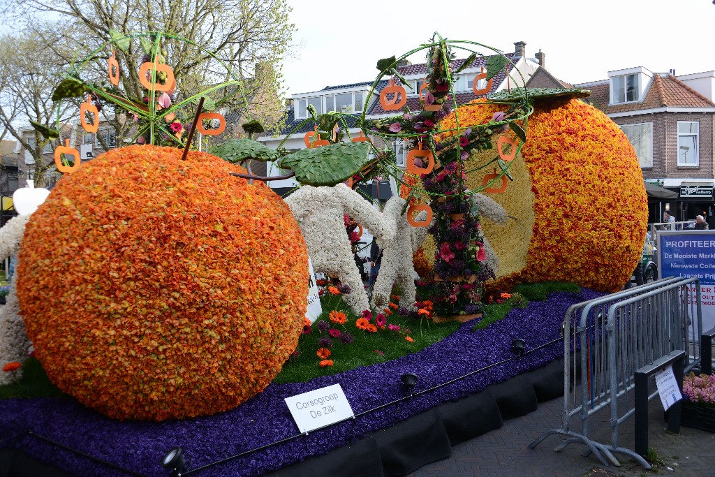 ../Images/Bloemencorso 2015 021.jpg